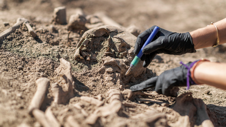 Archeologist excavating skeleton