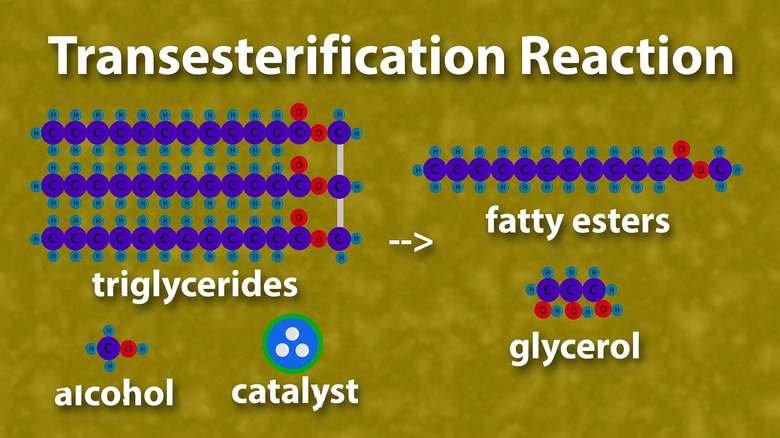 A 3D graphic on a yellow background showing the production of FAME from triglyceride molecules.