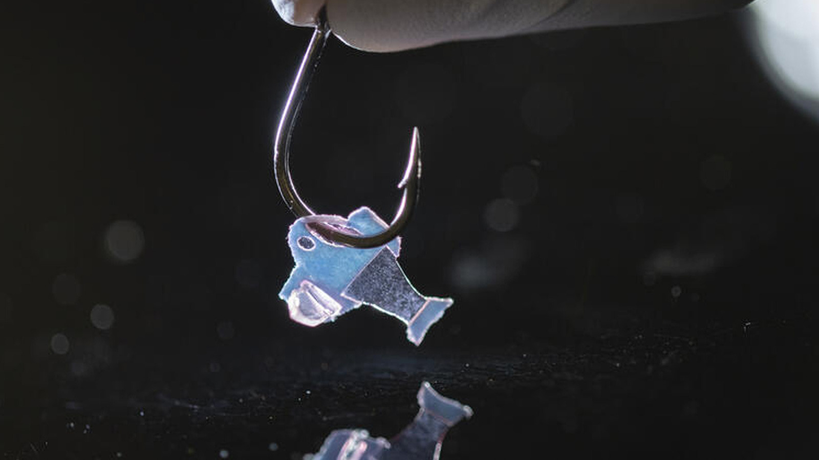 Biohybrid Fish Made With Human Cells For Medical Research - SlashGear