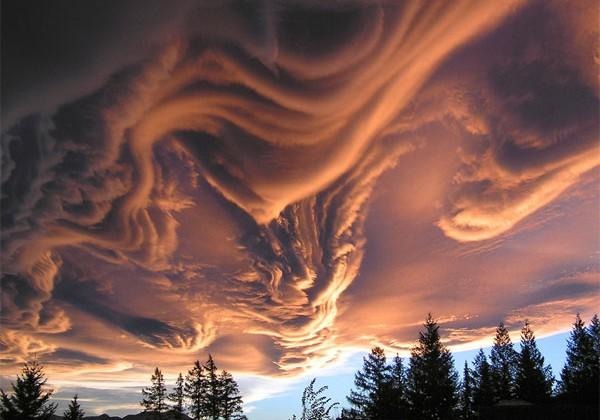 asperatus-1