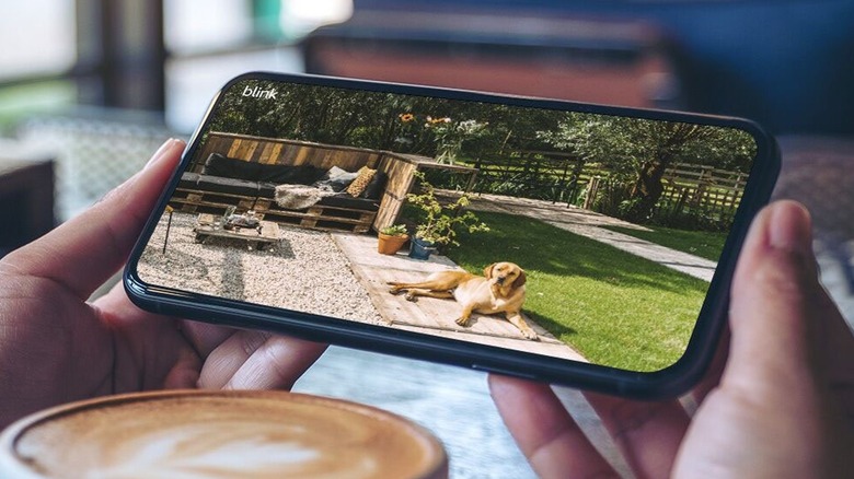 Blink app viewing outdoor camera