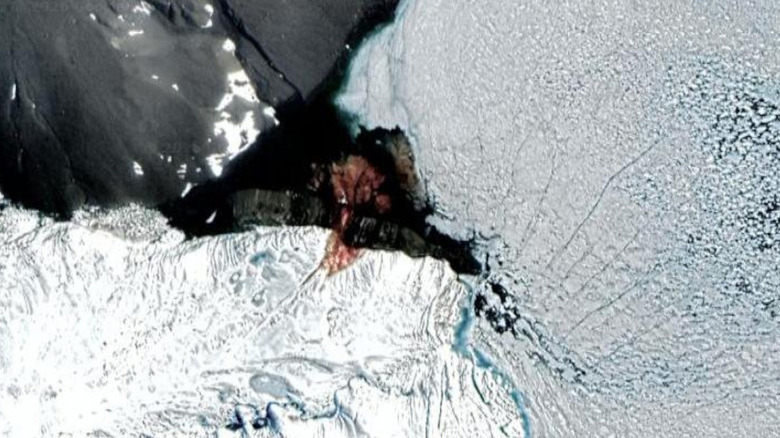 The Taylor Glacier as seen on Google Maps