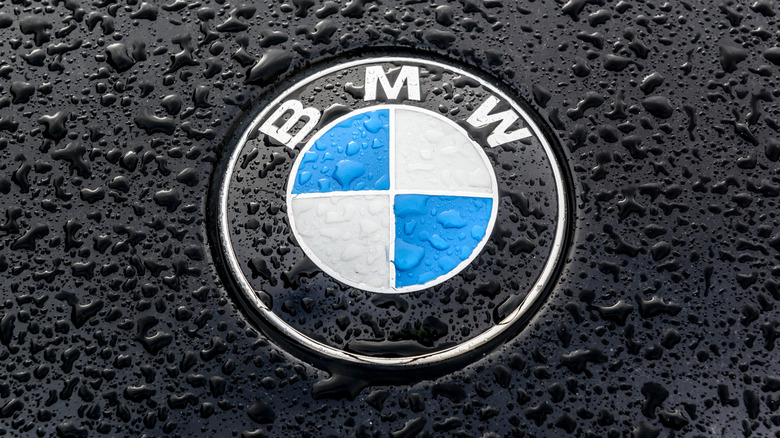 Wet BMW logo on car hood