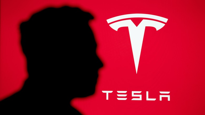 Silhouette of elon musk against tesla logo