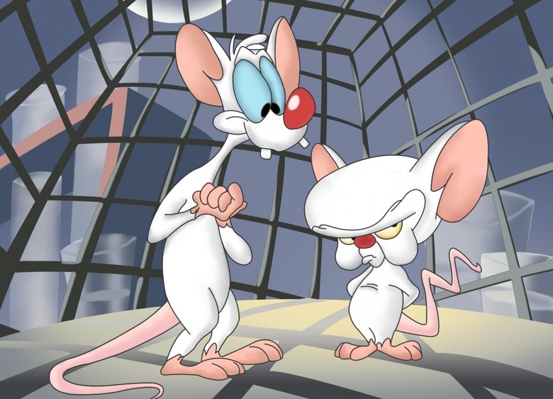 pinky_and_the_brain_rats
