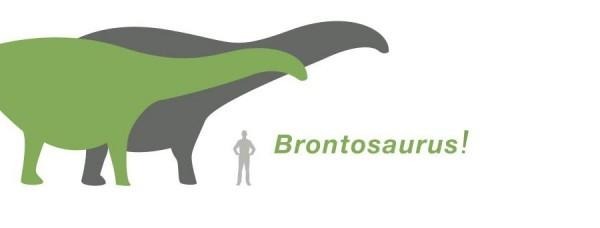 brontosaurus55