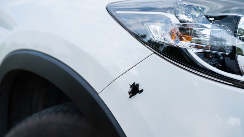 White car fron bumper with a scratch on it