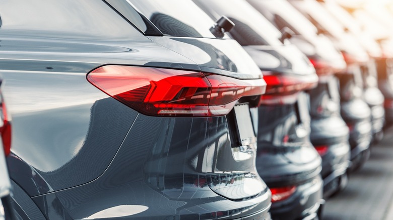 Multiple cars showing their rear bumper