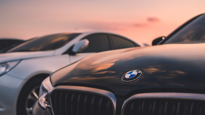 BMW logo on the hood of a car.