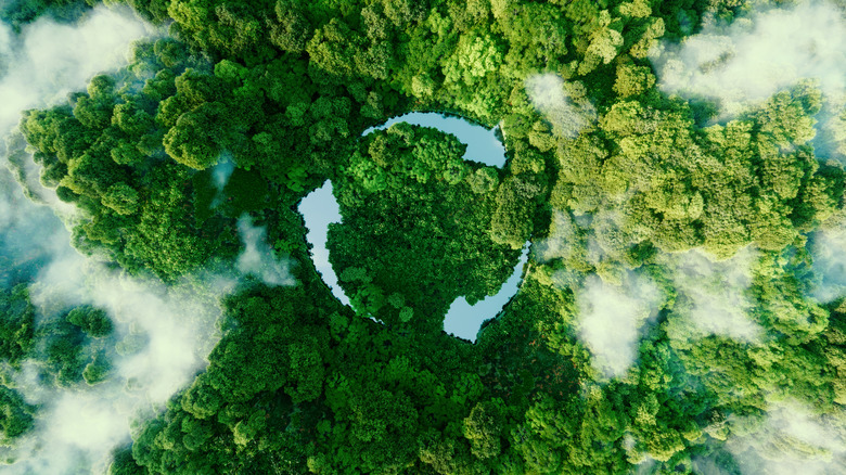 An overhead view of a green forest with the recycle logo