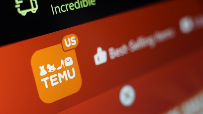 Temu US website