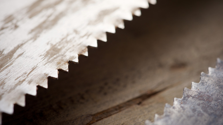 A close-up of a sharp saw teeth