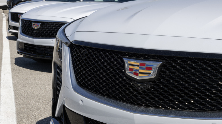 Close up of Cadillac CT5 grilles parked on dealership lot.