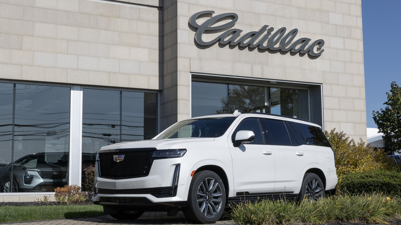 A white Cadillac Escalade in front of a Cadillac showroom
