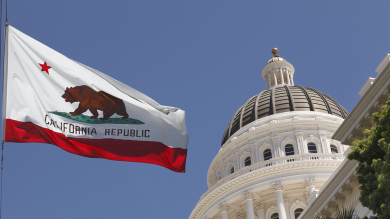 The California state flag, with its star, its bear, and the words 
