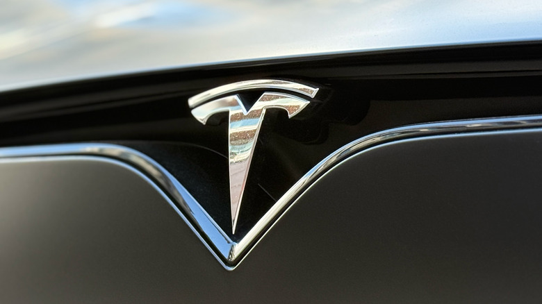 The Tesla logo on the exterior of a vehicle.