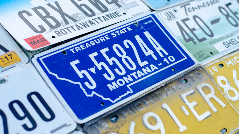 Montana plate among a collection of other U.S. plates