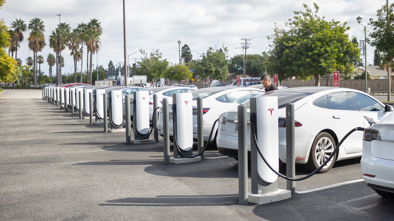A long line of EVs being charged.