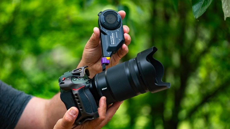 Cleaning the Nikon Z8 with 35mm f1.2 lens using a Nitecore Blowerbaby.