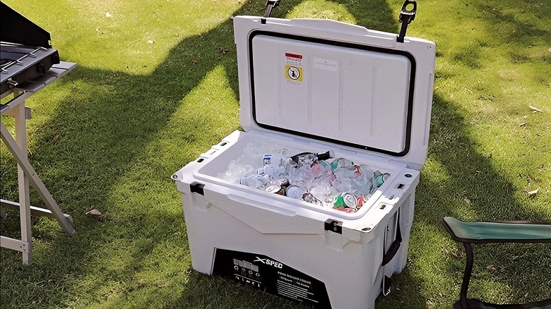 Ice cooler opened up