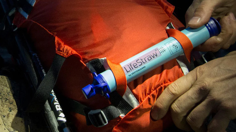 LifeStraw Personal Water Filter