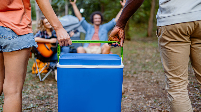 Young friends carrying cooler while camping in a woodland area