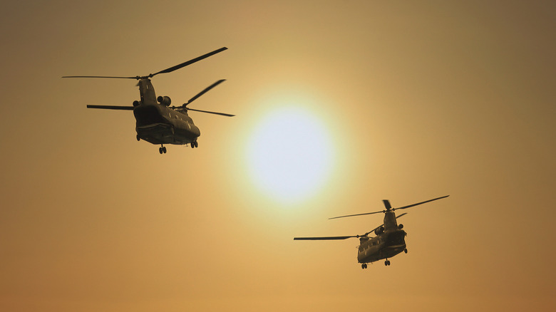 A pair of CH-47 helicopters flying at sunset