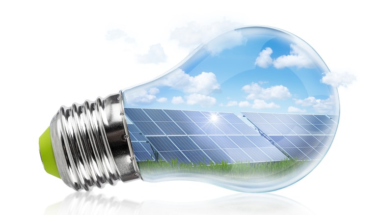 Solar panels shown inside of a light bulb on a white background