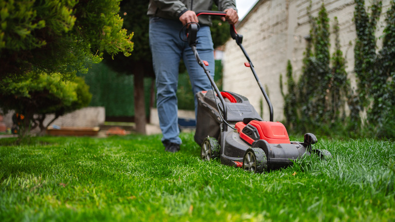 Using a mower to mow a lawn with multiple trees