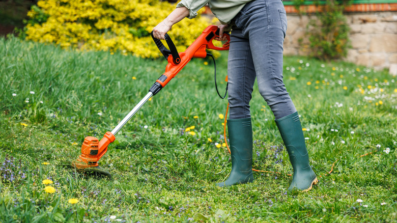 Trimming grass in a yard with an electric weed eater