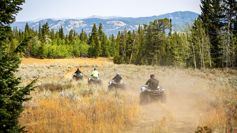 2026 Can-Am Outlander Electric in Wyoming