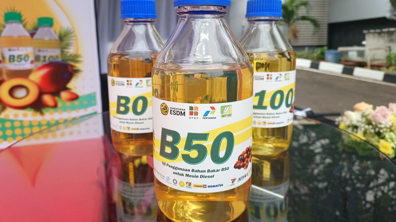 Bottles with difference concentrations of biodiesel.