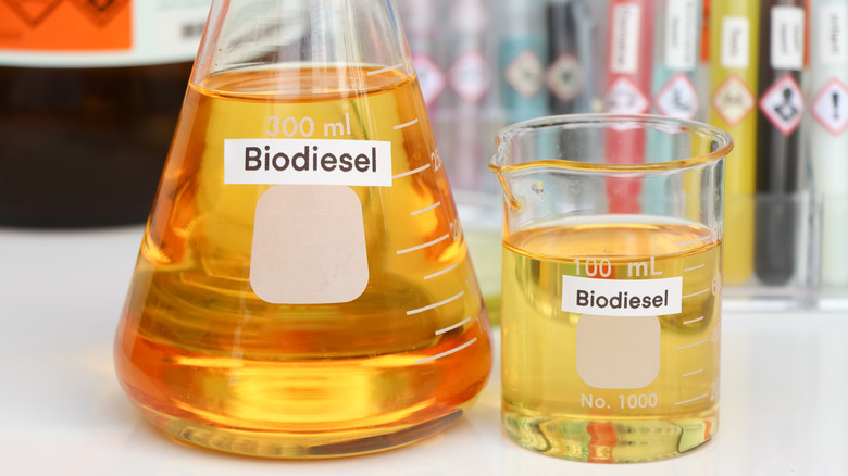 Biodiesel in glass containers in a lab.