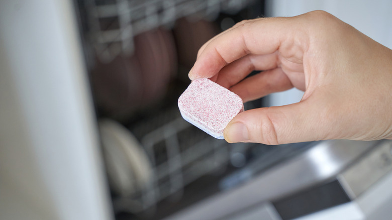 A person holding a dishwasher tablet in front of an open dishwasher.