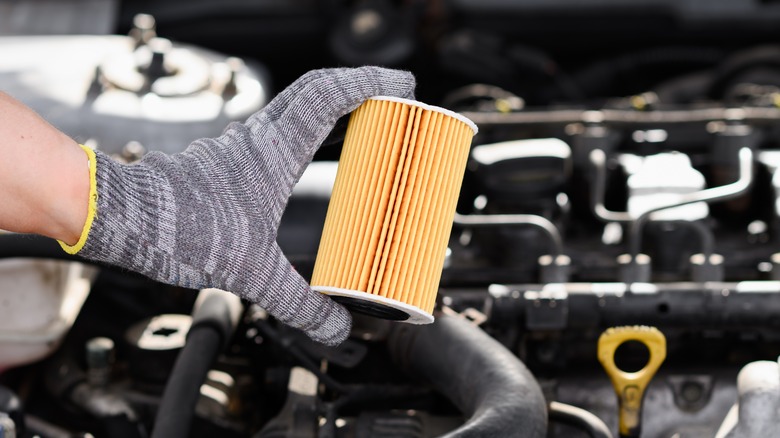 Clean oil filter in hand