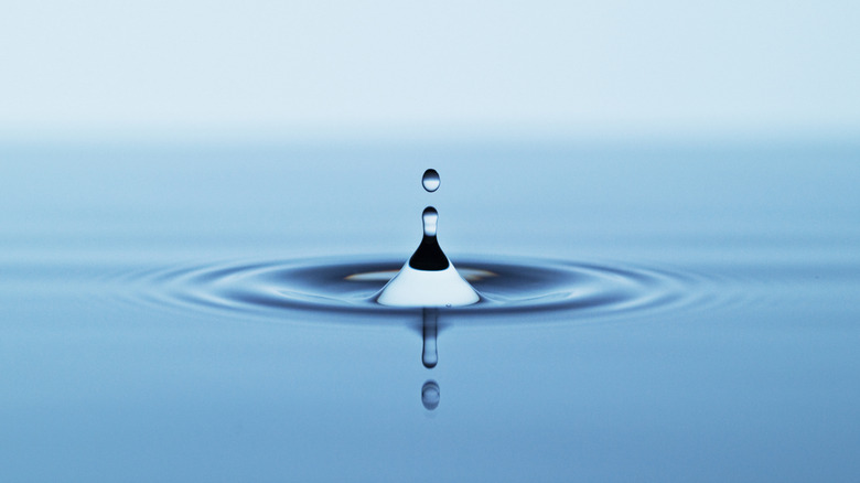 Drop of water impacting a calm water surface