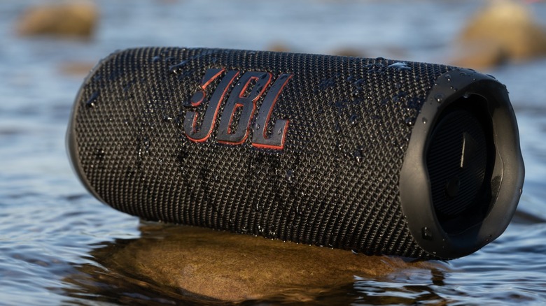 Black JBL Flip 6 sitting on a rock above water