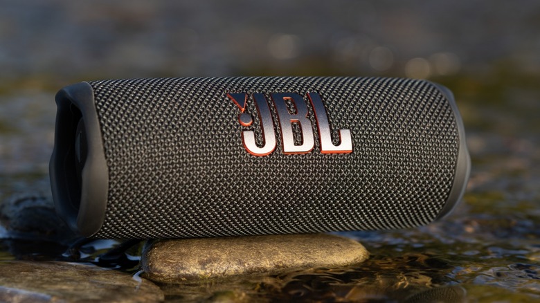 Black JBL Flip 6 sitting on a rock above trickling water