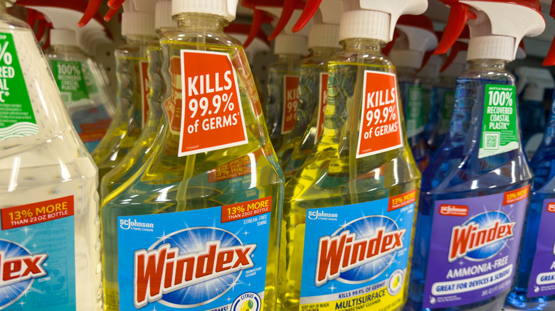 A close up of Windex Glass Cleaner solutions on a shelf