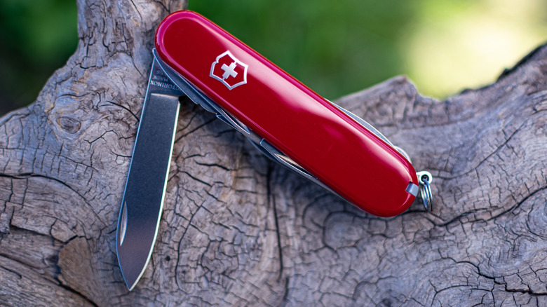 A Swiss army knife opened on a piece of wood.
