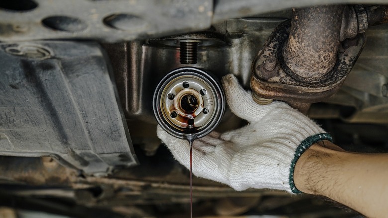 a person removing a used oil filter from a car