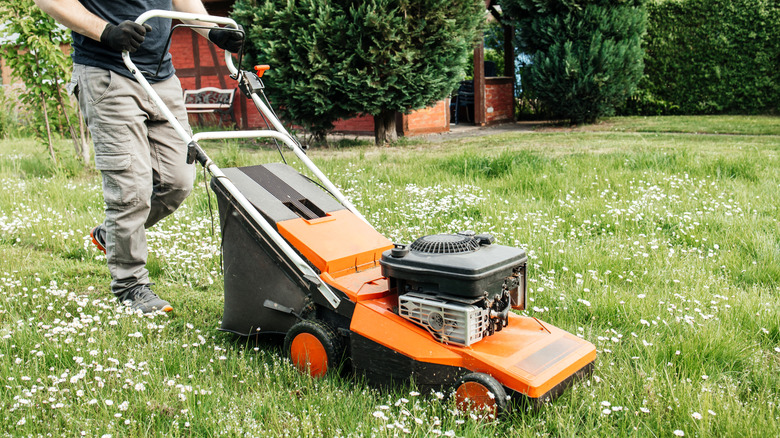 Man mowing lawn