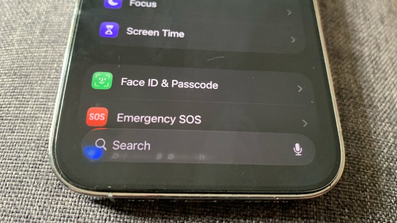 Photo of iPhone in Settings app with the search bar at the bottom of the page