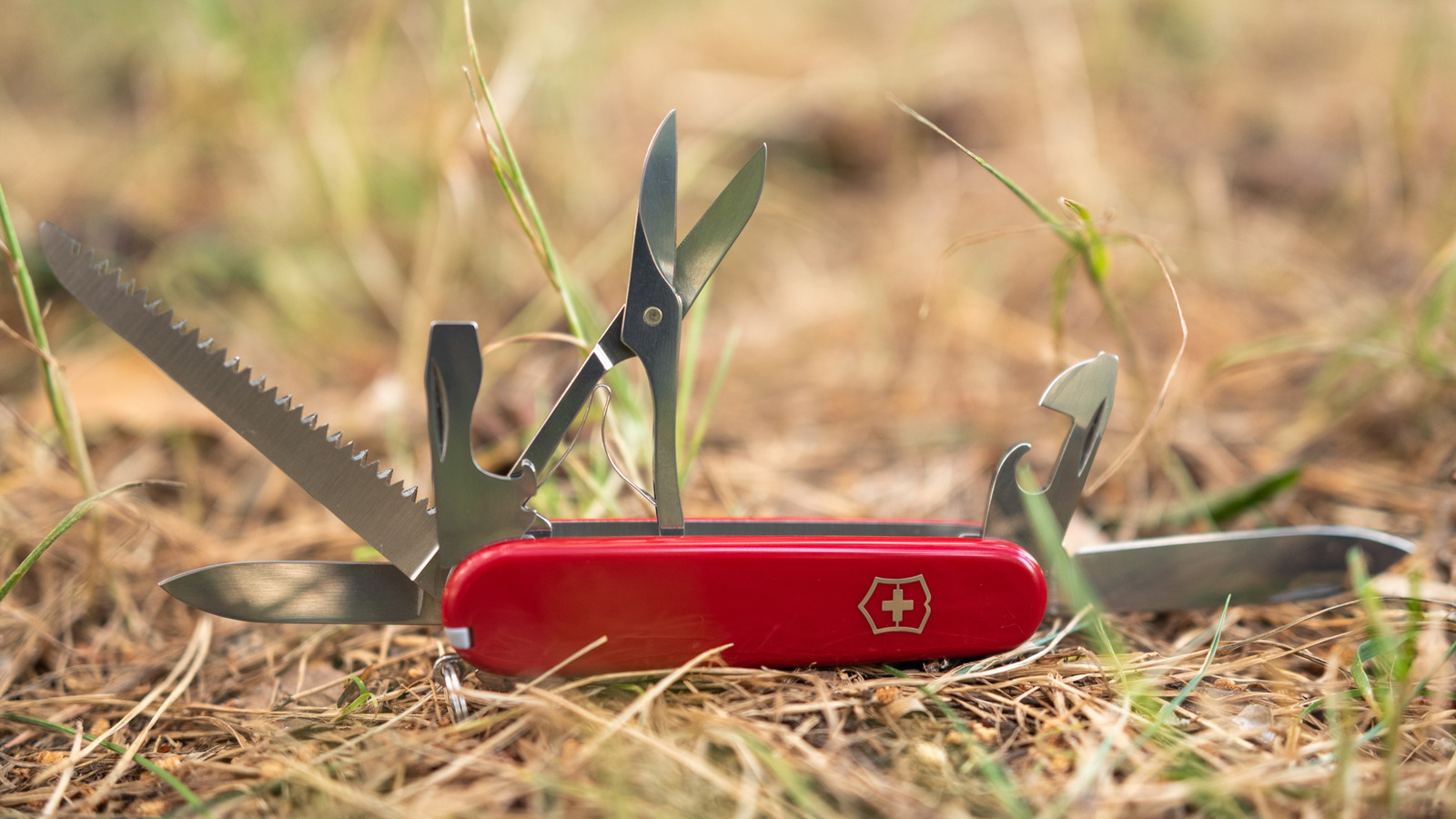 Can You Put A Swiss Army Knife In The Dishwasher?