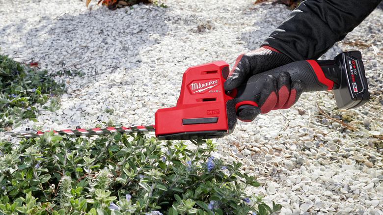Man using 8-inch Milwaukee hedge trimmer trim bushes