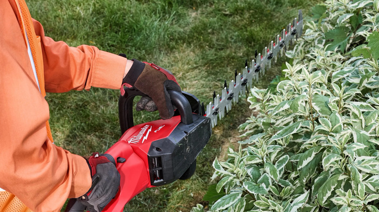 Man with gloves trimming leaves off the side of bush with Milwaukee hedge trimmer