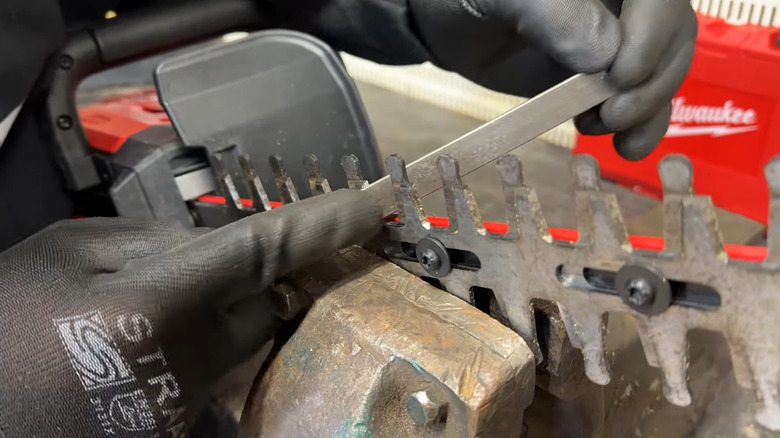 Man filing Milwaukee hedge trimmer blade with a metal file