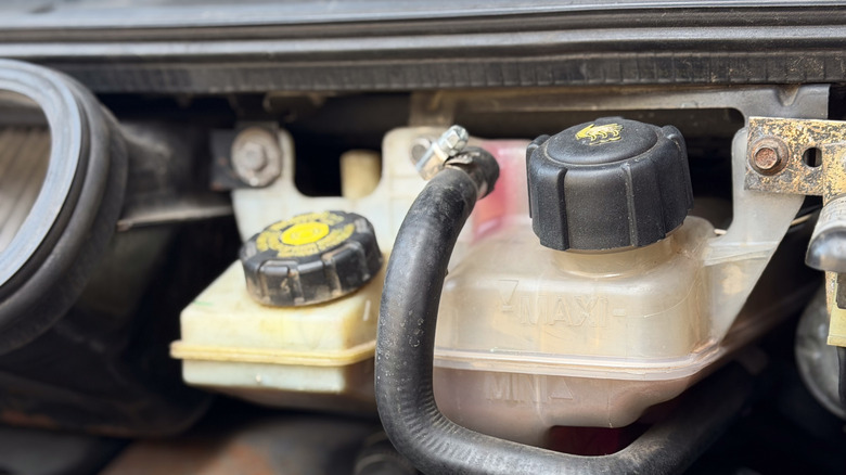 Close-up of brake fluid reservoir on typical car