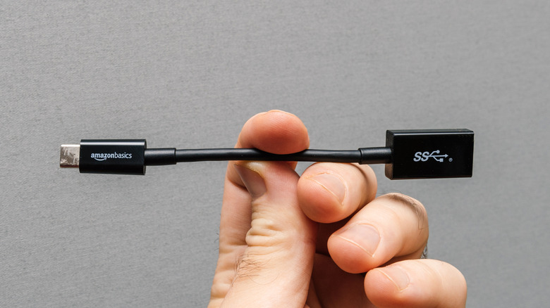 A person holding an Amazon Basics cord.