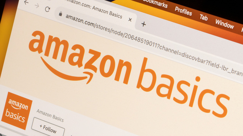 The Amazon Basics logo on a computer screen.